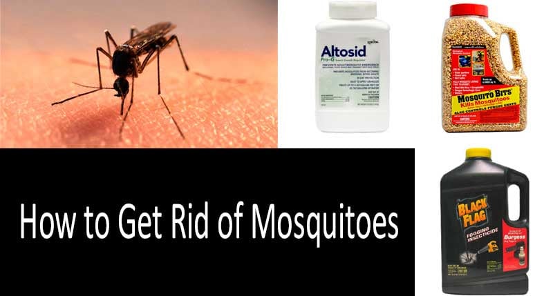 How to Get Rid of Mosquitoes: 7 Tried and True Ways - 7 Best Ways to Get Rid of Mosquitoes in Your House and Yard