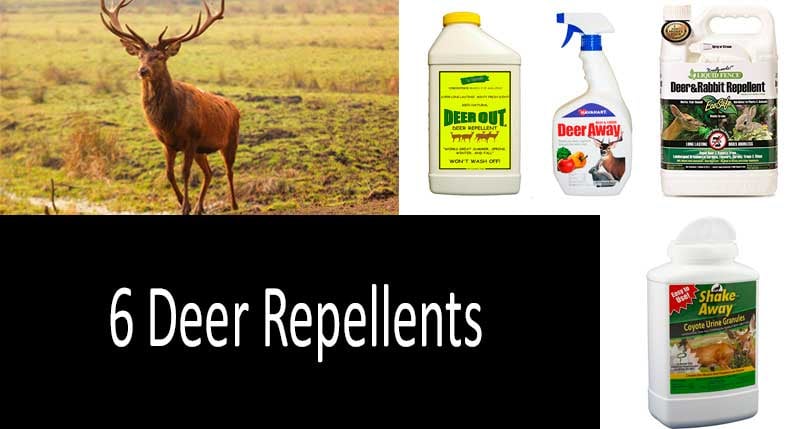 Top deer repellents: photo
