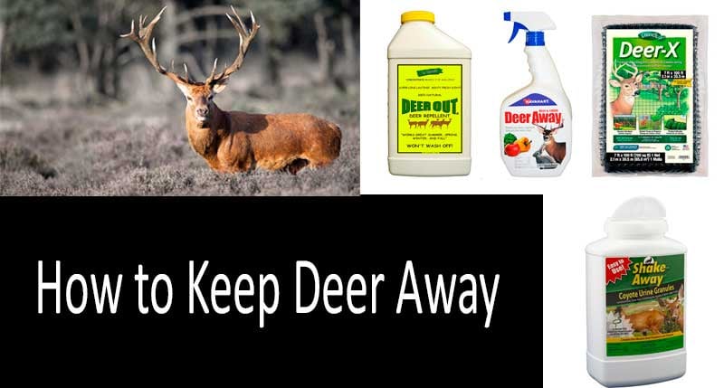 How to Keep Deer Away: photo