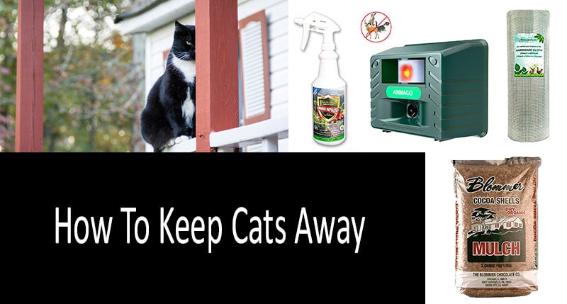 how to keep cats away from your house