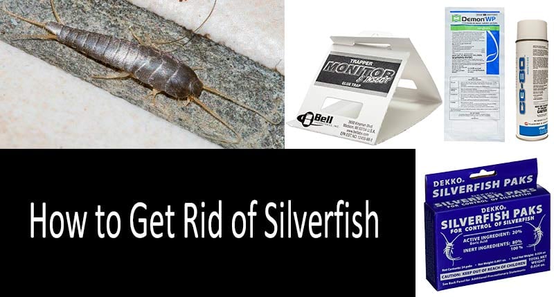 how to get rid of silverfish: photo