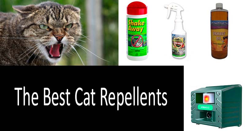 Best Cat Repellents: photo