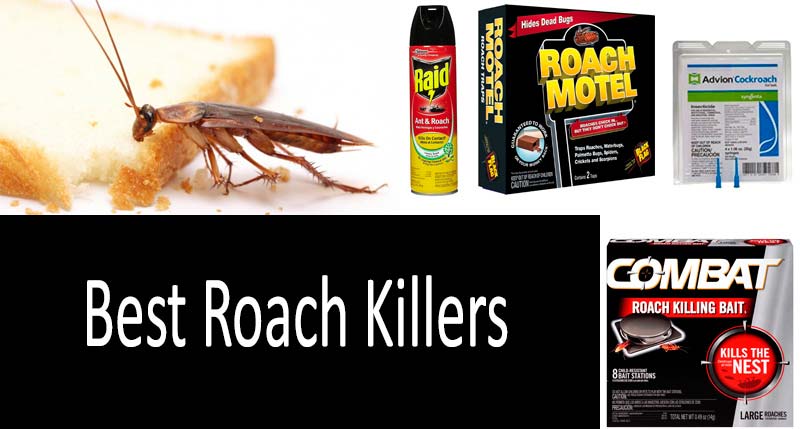 12 Best Roach Killers: Die, Horrible Creatures!