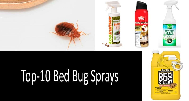 skedaddle bug spray