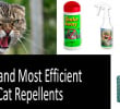 psst cat spray repellent