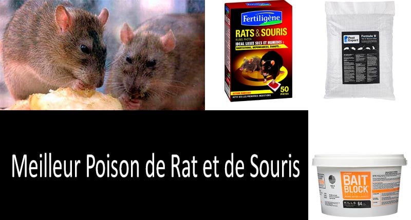 Meilleur poison de rat et de souris: photo