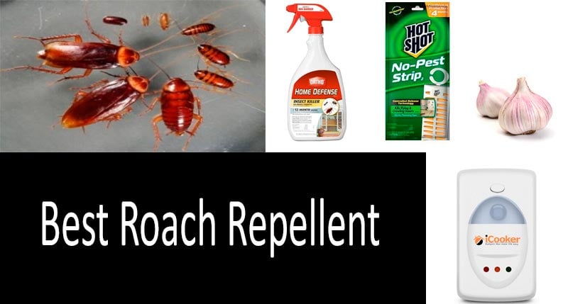 Best Roach Repellents: natural and electronic ultrasonic repellers Best Roach Repellents: natural and electronic ultrasonic repellers