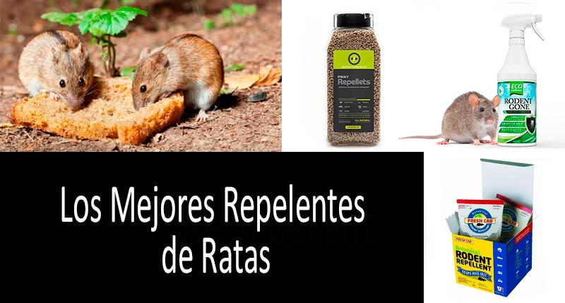 repelentes de ratas y ratones: foto
