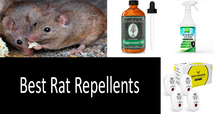 Best Rat Repellents min: photo
