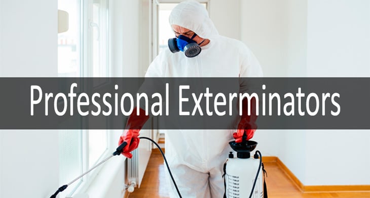 professional exterminators: photo