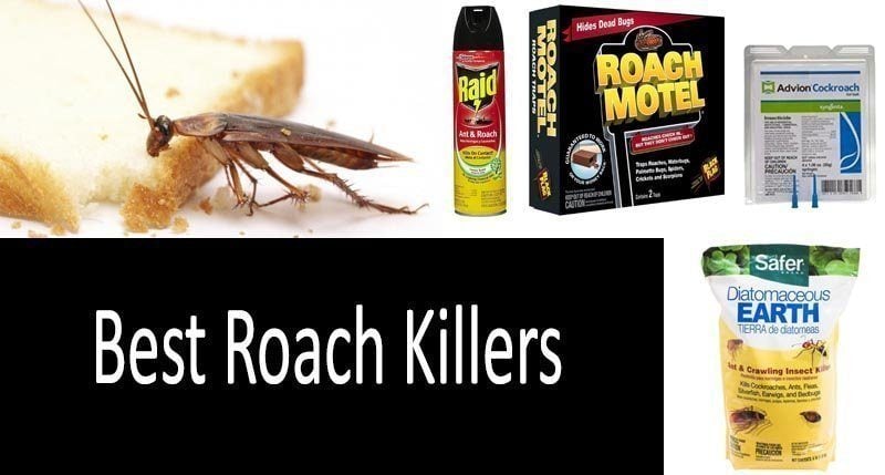 Top 16 Best Roach Killers In 2020 From 5 To 50 Buyer S Guide