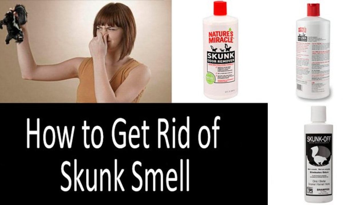 How to get rid of skunk smell on car