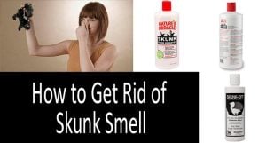 How to get rid of skink smell from your clothing from your skin