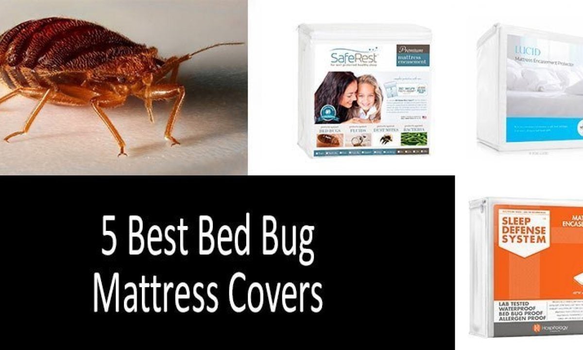 Bed Bug Mattress Covers Protectors, Can Bed Bugs Bite Through Mattress Protector
