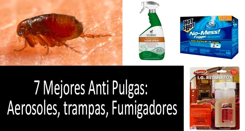 Por emulsión famoso Cómo eliminar pulgas de forma rápida: Una revisión de los 7 mejores  aerosoles, fumigadores (bombas) y trampas anti pulgas