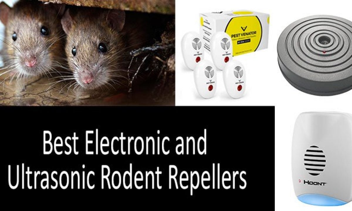 Mouse and Rat Ultrasonic Repeller Grad Ultra 3D for Large Areas 