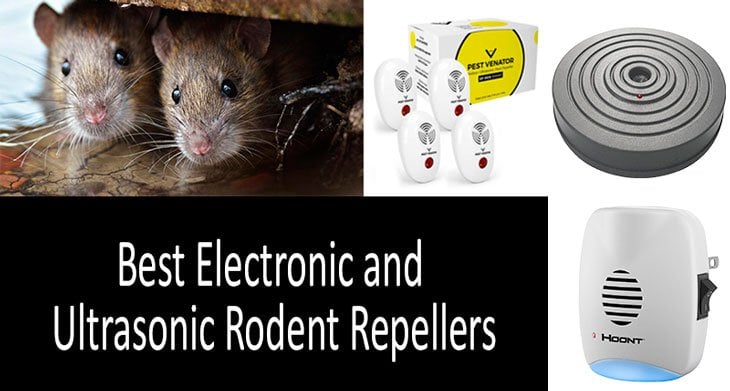 Ultrasonic Pest Repeller Mouse and Rat Repeller Indoor Plug In Pest Control Spider Mice Repellent with Night Light for Insects Rodents Mice Rats Flies Ants 2 Pack