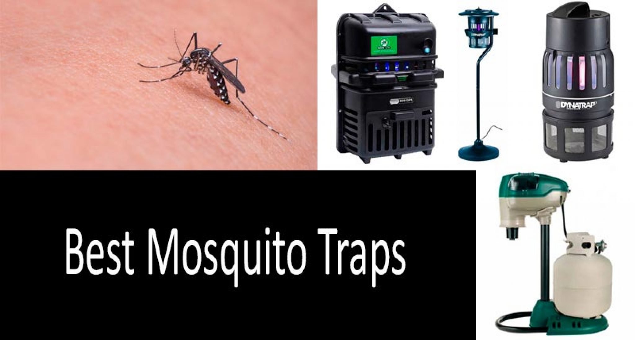 Best Mosquito Traps From 30 To 900 Top Mosquito Traps Review 2022