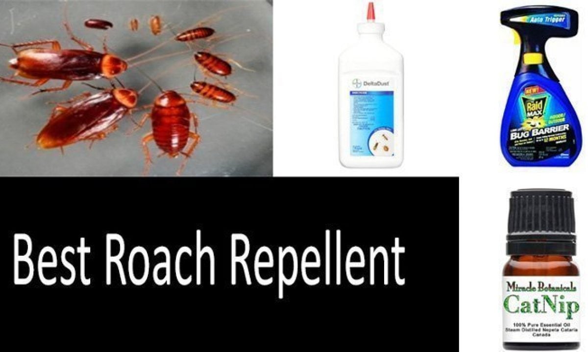 best roach repellents