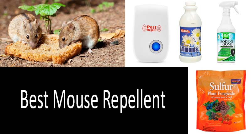 ✅ Top-5 Mouse Repellents Review - Buyer