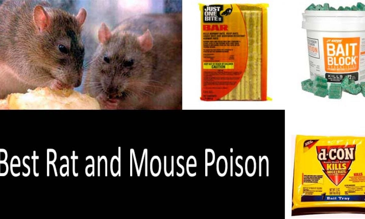 Strong Strength Rodent Rat Mouse Poison Block Bait Killer Pest Control 
