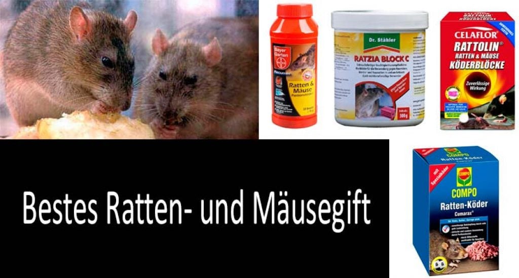Bestes Ratten und Mäusegift TOP5 Das effektivste Rodentizid