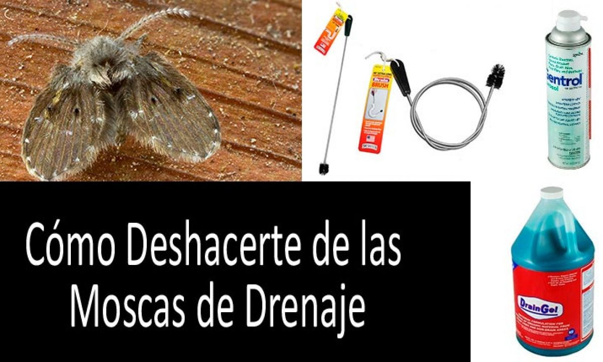 Trampa de avispas efectiva para matar plagas Mata moscas y frutas, 