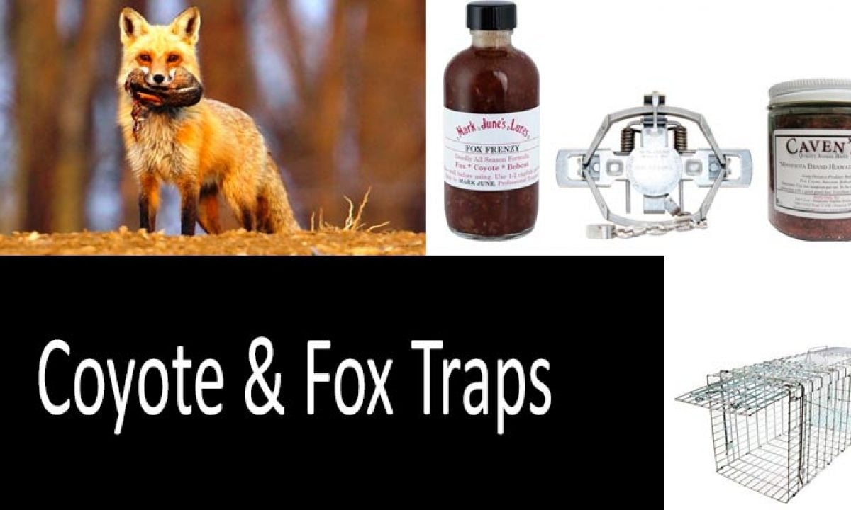 bait COYOTE  TRAPPING NEW SALE Bible's Fox & Coyote Magnet 1000 Trapping Lure 