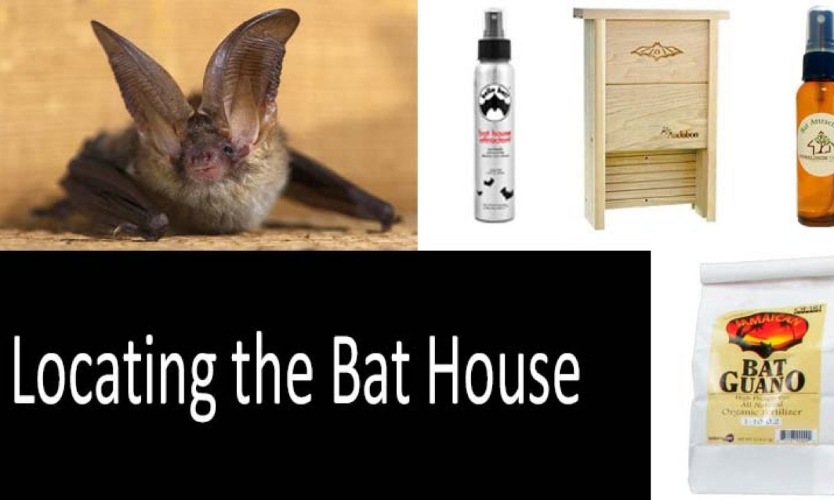 WHITEHORSE Certified Cedar Bat House Enjoy a Healthier Yard with Fewer Mosquitos While Supporting Bats Black A 4 Compartment Bat Box That is Built to Last