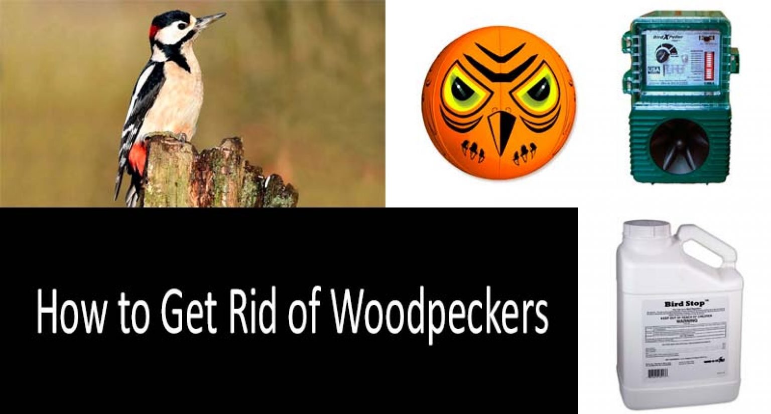 How To Get Rid Of Woodpeckers For Sure Top 13 Woodpecker Deterrents   How To Get Rid Of Woodpeckers 1536x824 