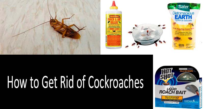 How To Get Rid Of Cockroaches