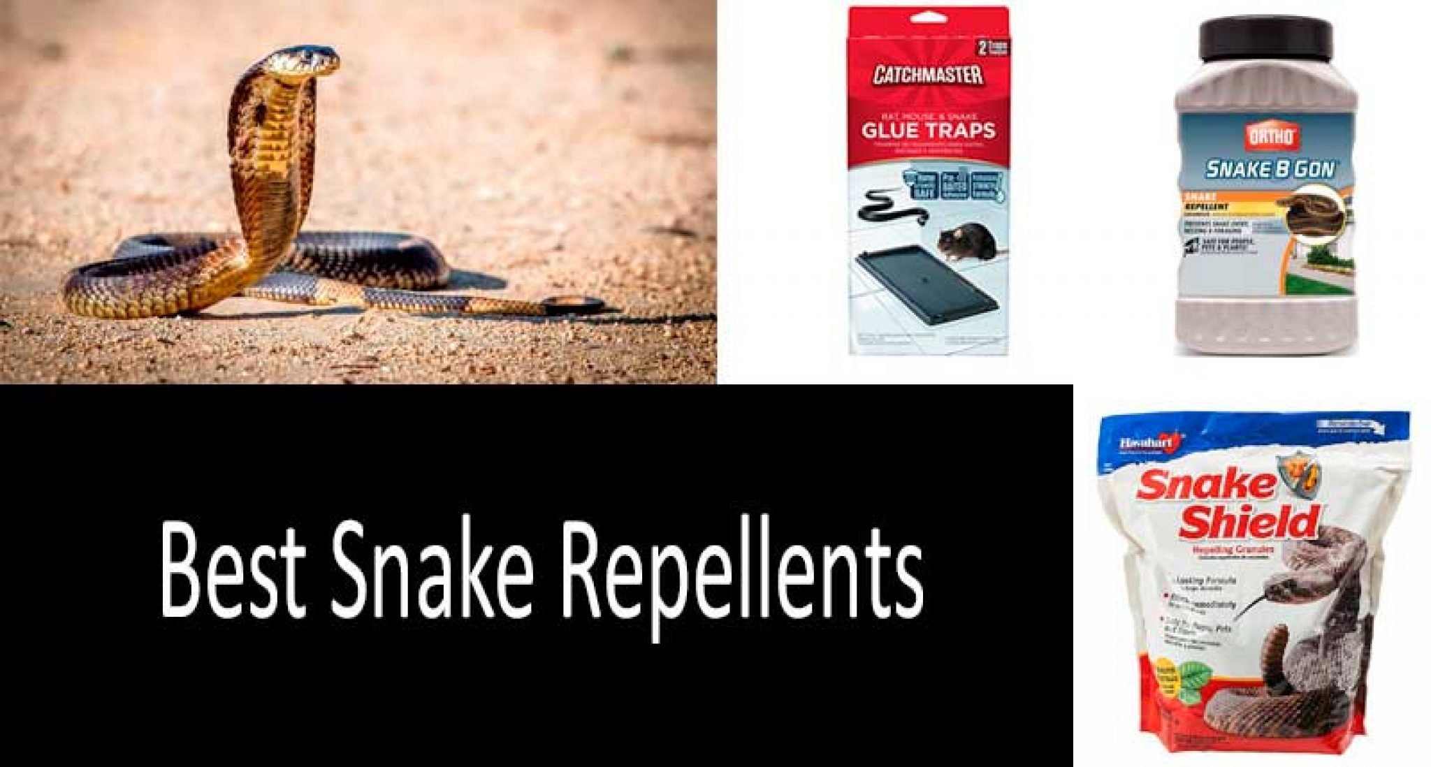 How To Keep Snakes Away: Best Snake Repellents - Review 2022