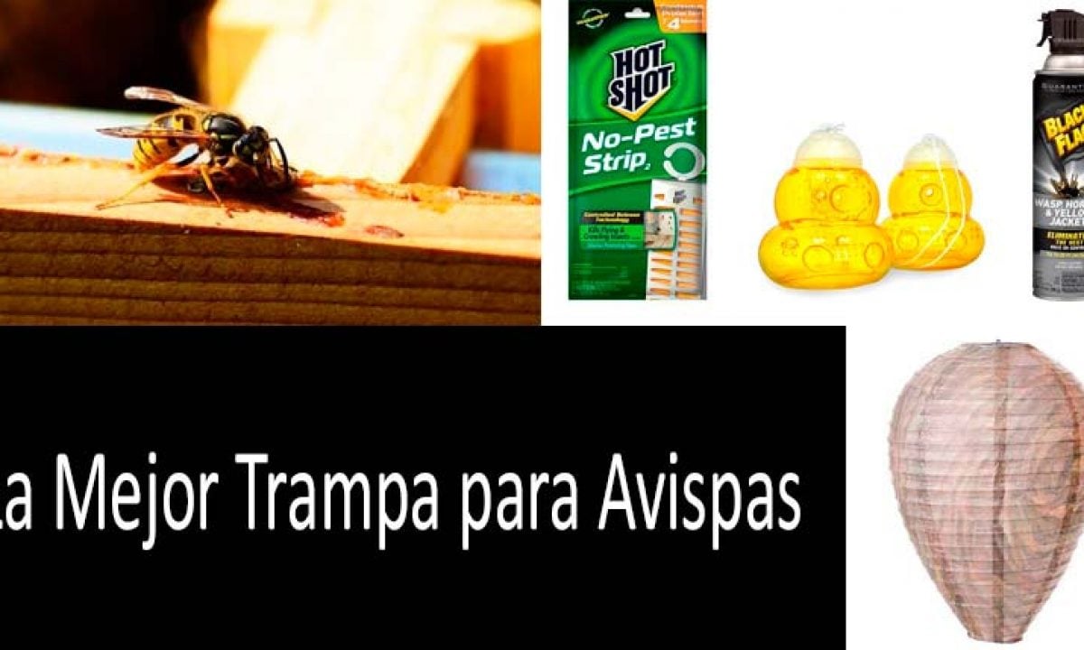 Trampa de avispas efectiva para matar plagas Mata moscas y frutas, 