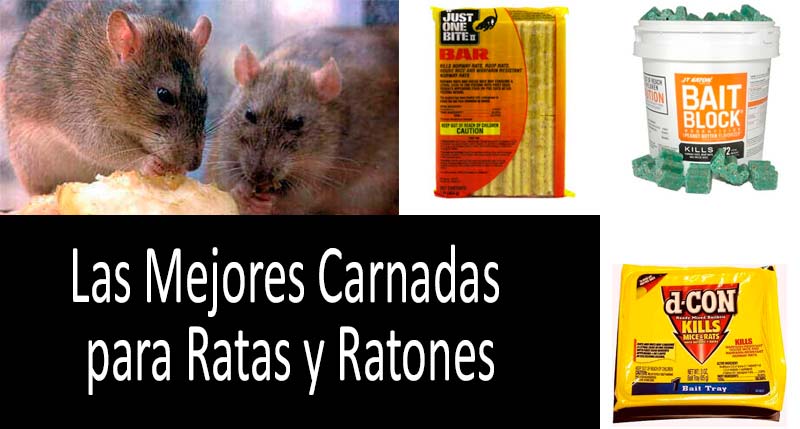Obediente marrón Resplandor Las mejores carnadas para ratas y ratones: carnadas para trampas y carnadas  envenenadas