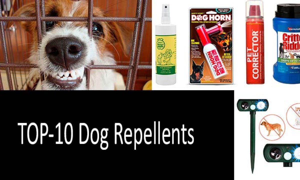 10 Best Dog Repellents: Sprays, Electronic and Ultrasonic Devices