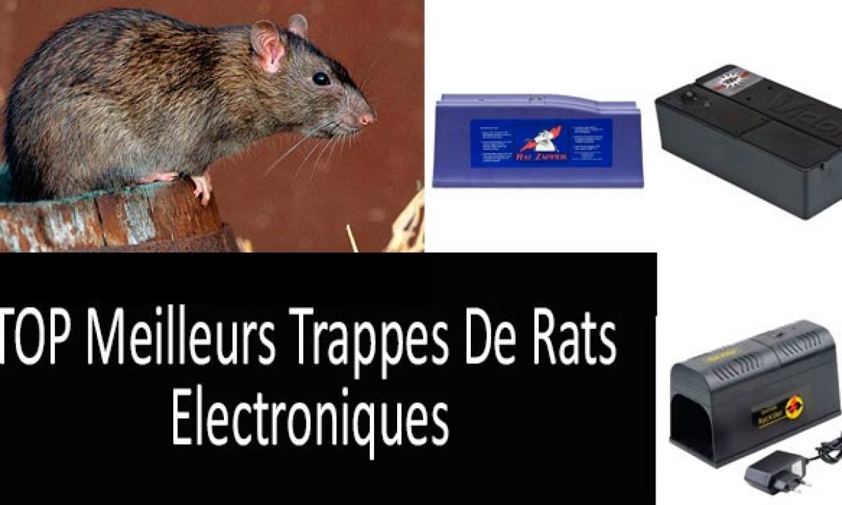 Électronique Piège à souris du contrôle Victor Rat tueur Pest souris électrique rongeur Zapper 