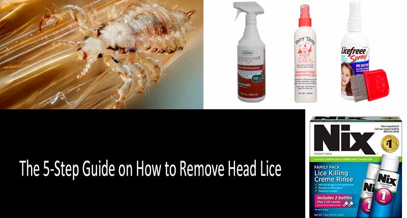 Licefreee Spray! Instant Head Lice Treatment, 6.0 fl oz - Walmart.com