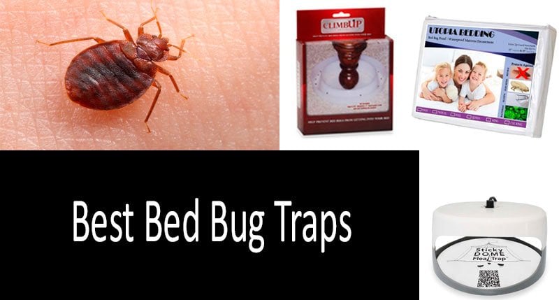 TOP-5 Best Bed Bug Traps [UPDATED 2020
