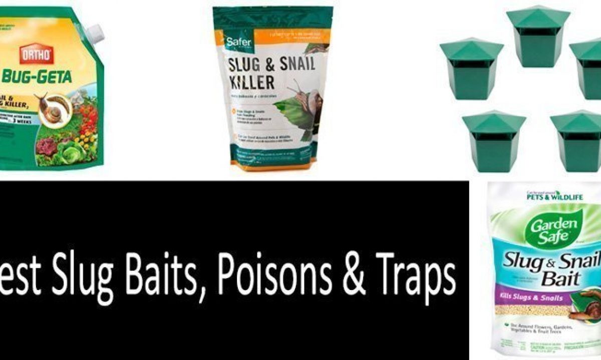 2 Pack Slug Traps Safe & Chemical Free Trap Snails,Bugs & Pests Poison Free 