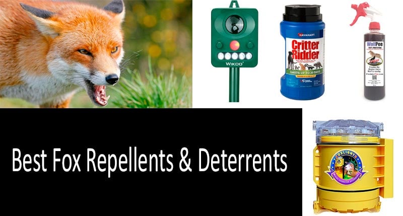 Top 9 Fox Repellents Deterrents