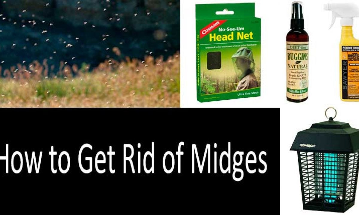 get rid miges