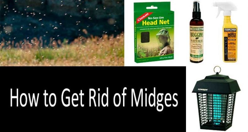 10 Ways to Get Rid of Midges: 10 Best Repellents & Insect Killers 2022