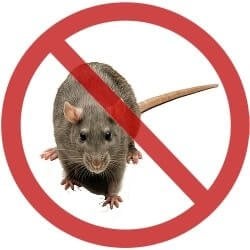Ultrasonique Répulsif Rat Souris Mice Spider dissuasif rejeter Contrôle Rongeur