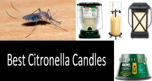 Best Citronella Candles: photo