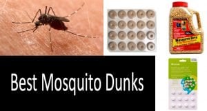 Best Mosquito Dunks: photo