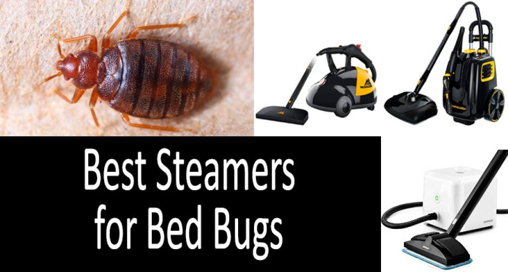Best Steamers for Bed Bugs Kill Bed Bugs Naturally with Steamers