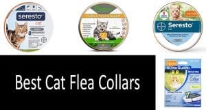 Best Cat Flea Collars: photo