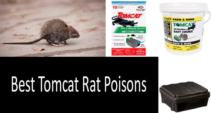 Best-Tomcat-Rat-Poisons: photo