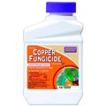 Bonide 811 Copper 4E Fungicide min: photo