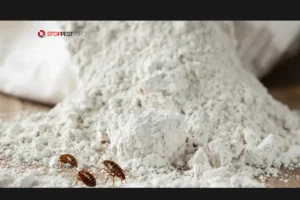 how to Use Diatomaceous Earth for Natural Pest Control